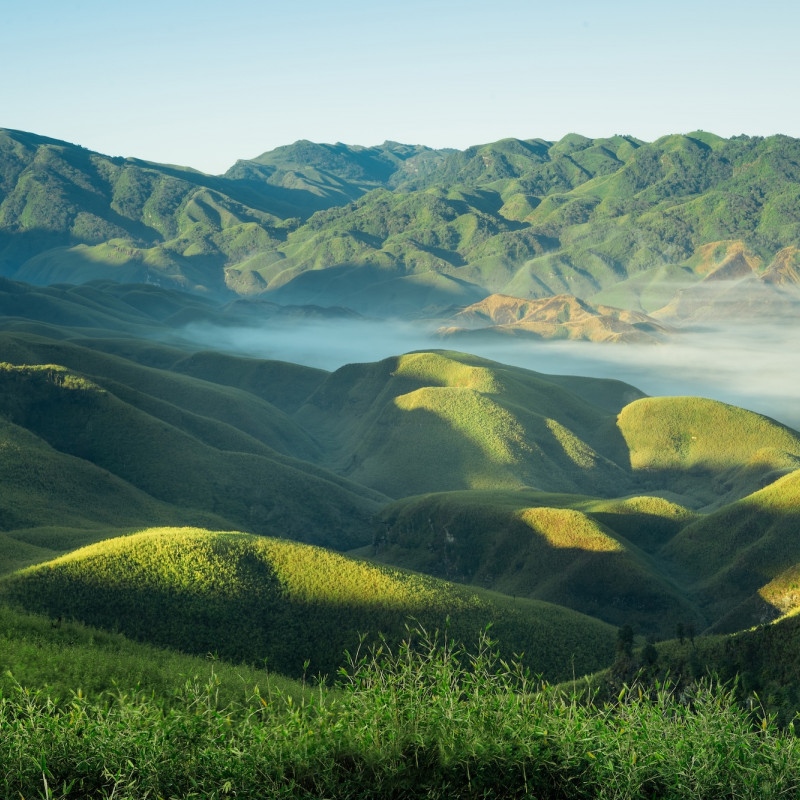 La valle del Dzukou in Nagaland © TARKIK DUTTA / Shutterstock