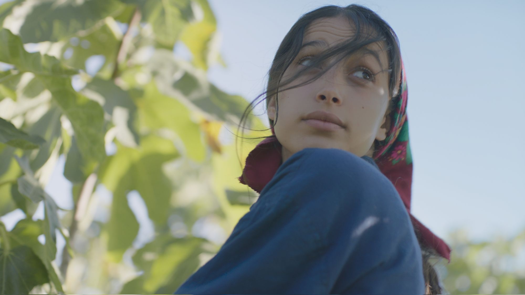 Un fotogramma di “Il frutto della tarda estate - Under the fig trees”, film inaugurale del FESCAAAL 2023