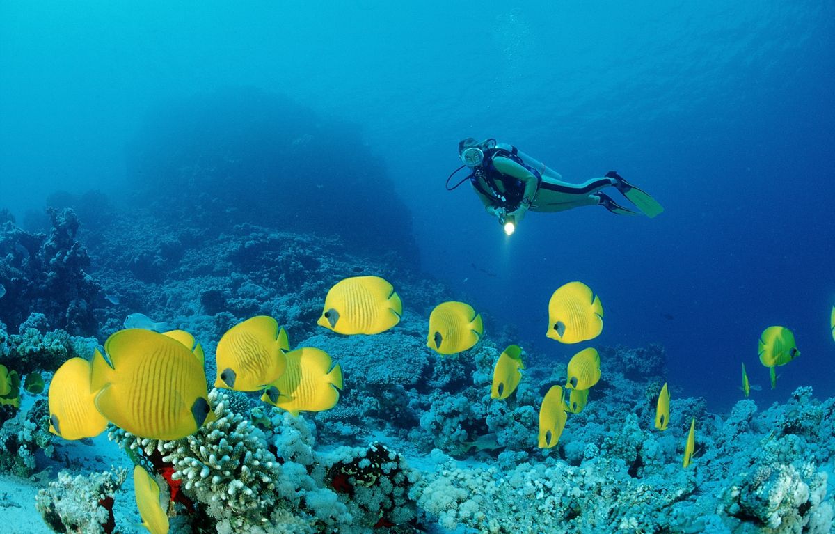egitto immersioni