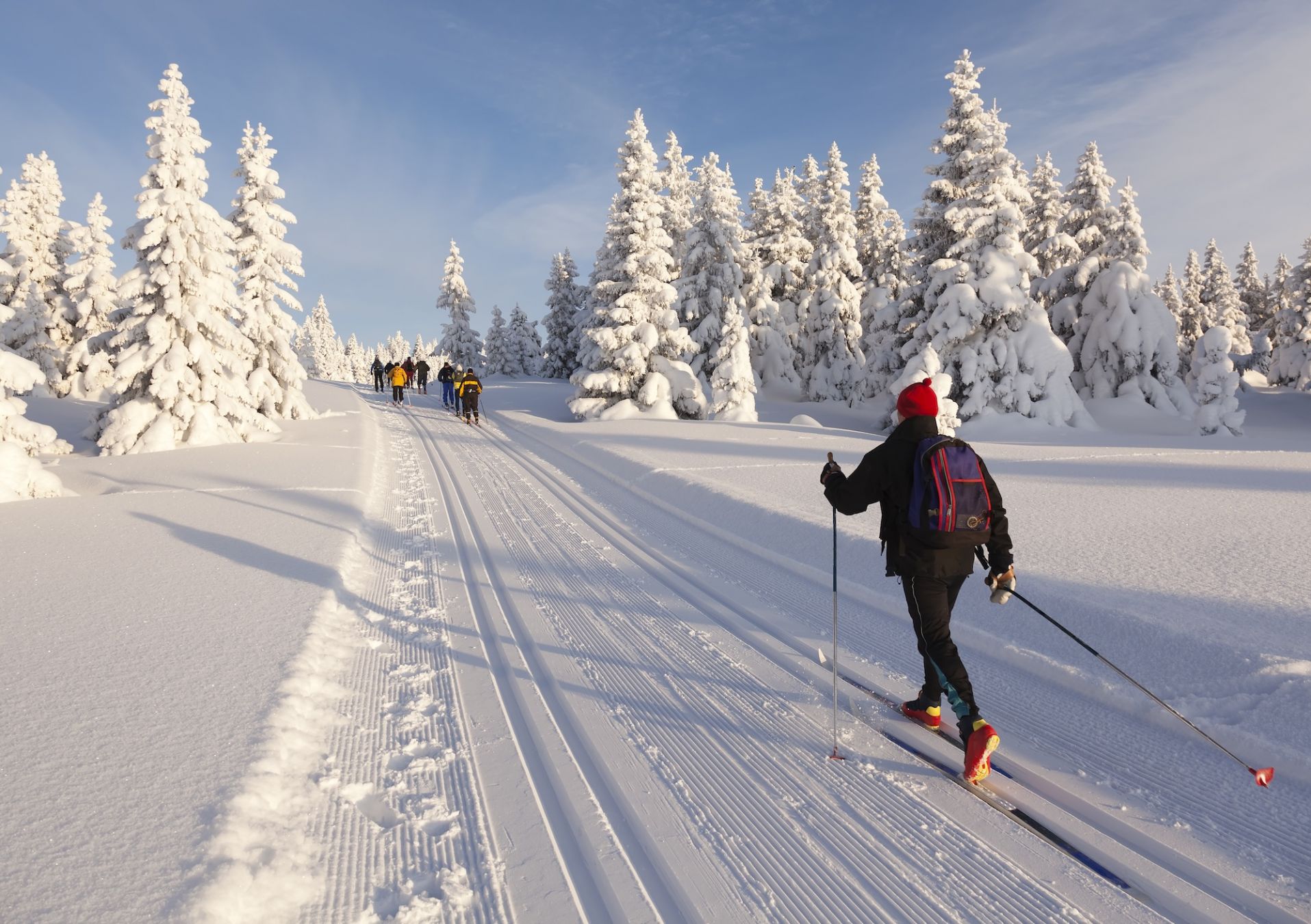 La Norvegia è il luogo perfetto per mettersi alla prova con gli sci da fondo ©Rob Kints /Shutterstock