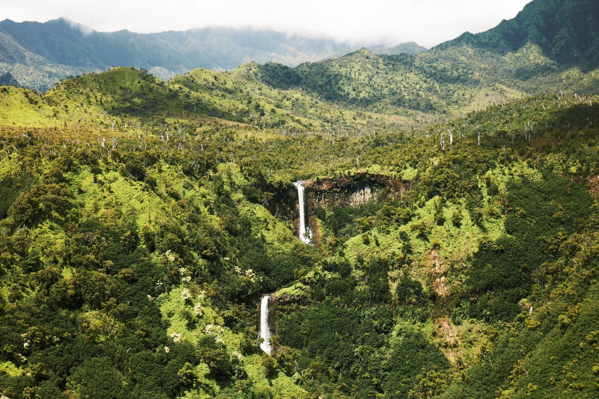 Le cascate di Kaua‘i sono comparse in diversi film di successo. © Tec Petaja/Lonely Planet