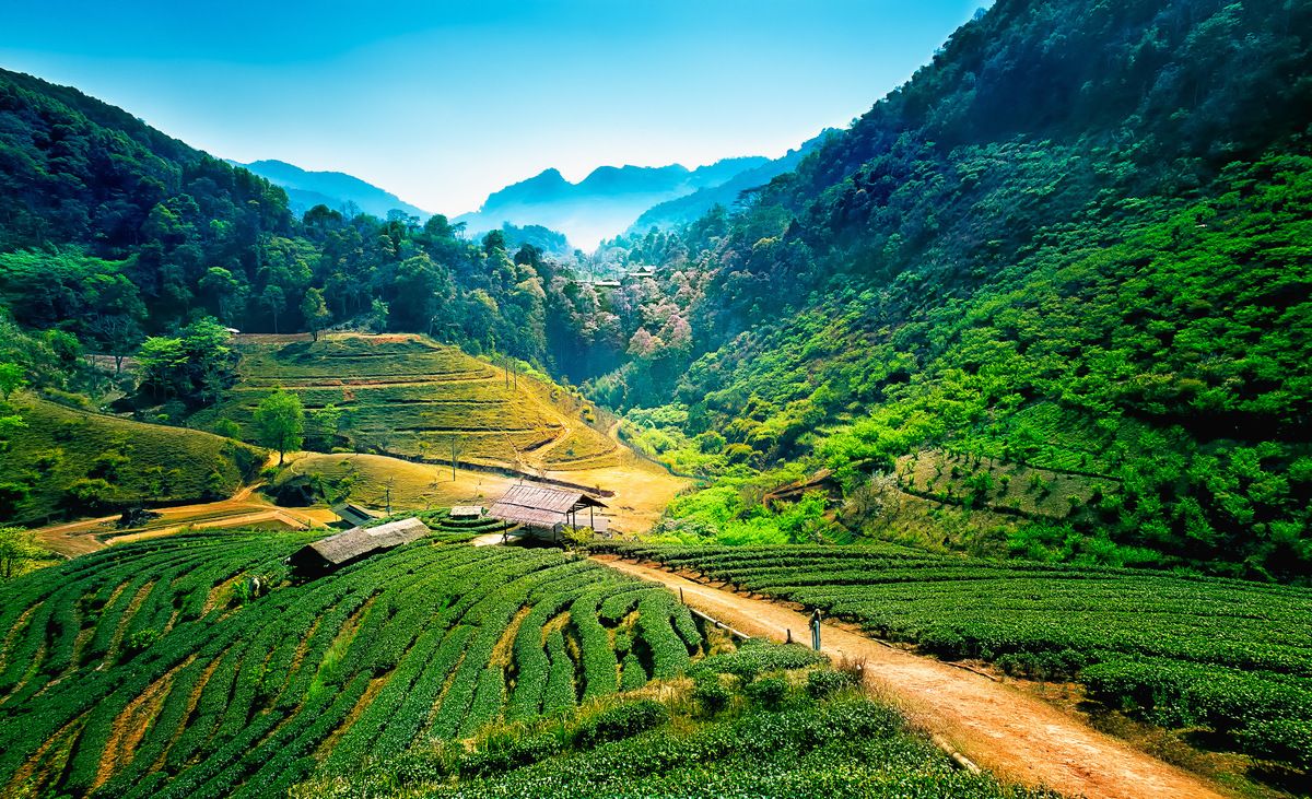 quanti giorni a chiang mai
