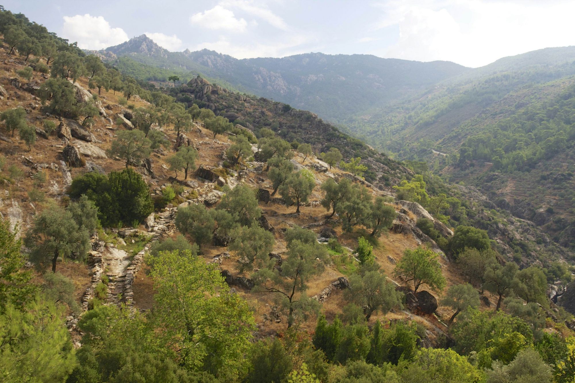 Un tratto del Carian Trail, nell’entroterra della regione. © altay62/Getty Images