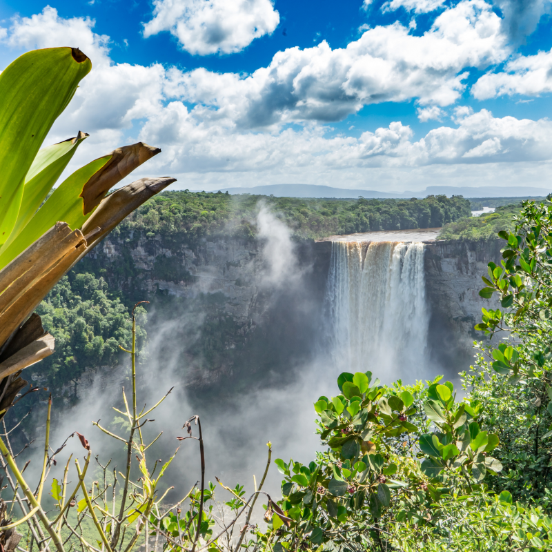 Un viaggio in Guyana non può dirsi completo senza una visita alle Kaieteur Falls ©Gail Johnson/Shutterstock