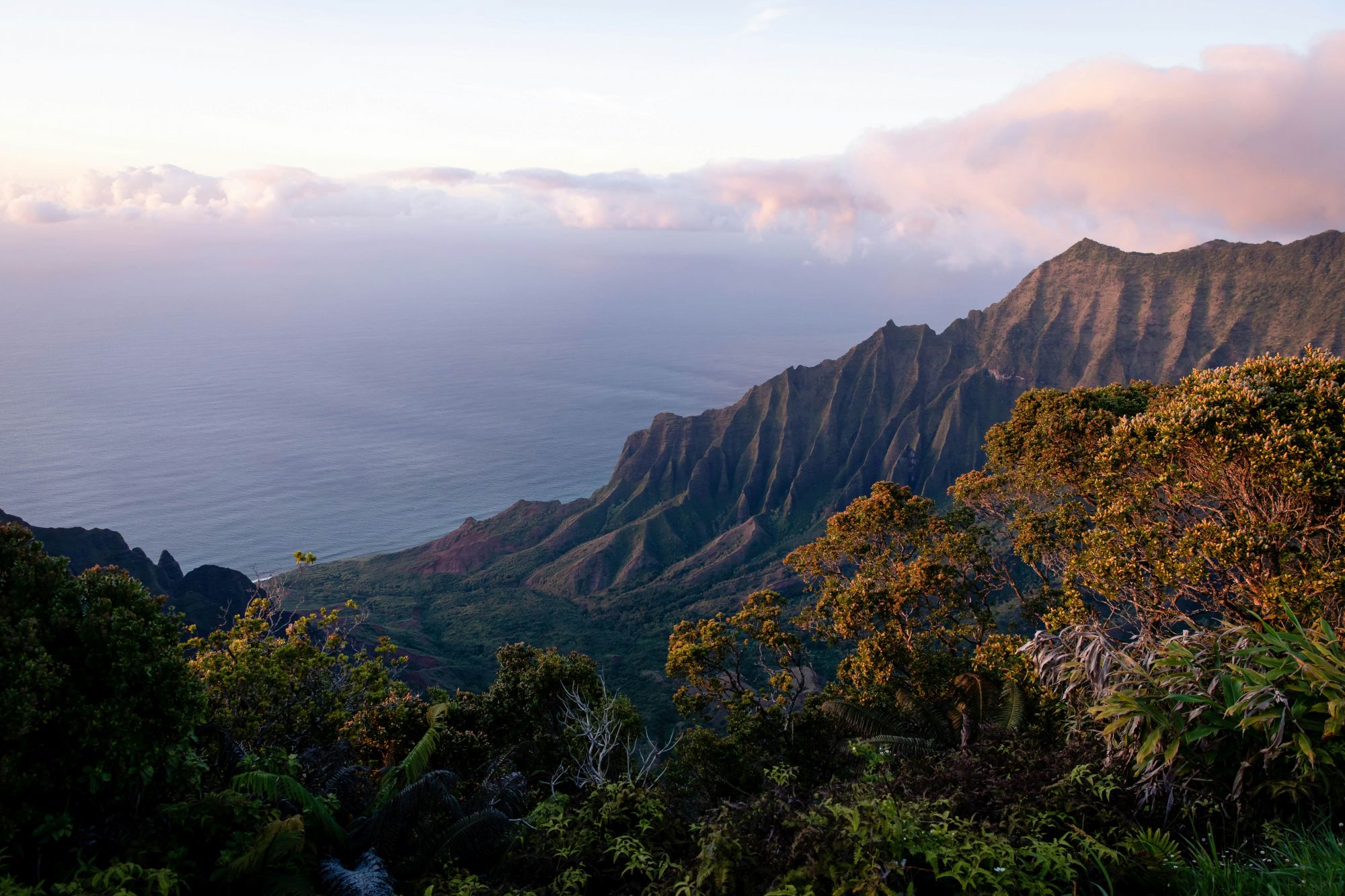 La Kalalau Valley e la costa di Na Pali viste dal Koke’e State Park. © bluestork/Shutterstock