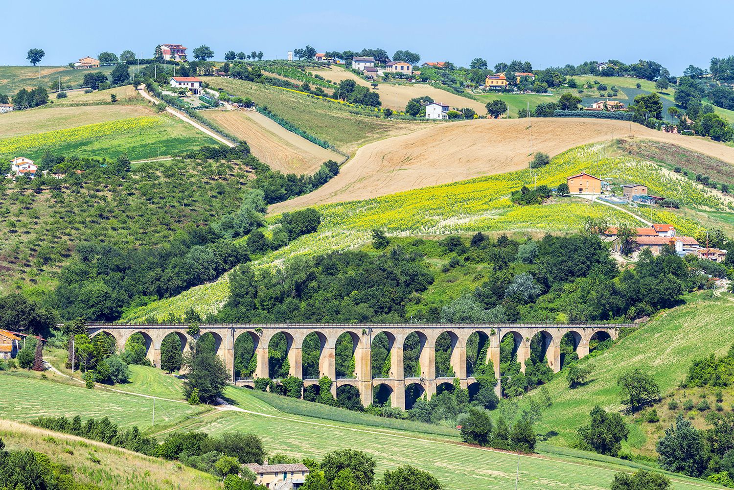 La tavolozza di colori del paesaggio intorno a Tolentino. Credits Claudio Giovanni Colombo