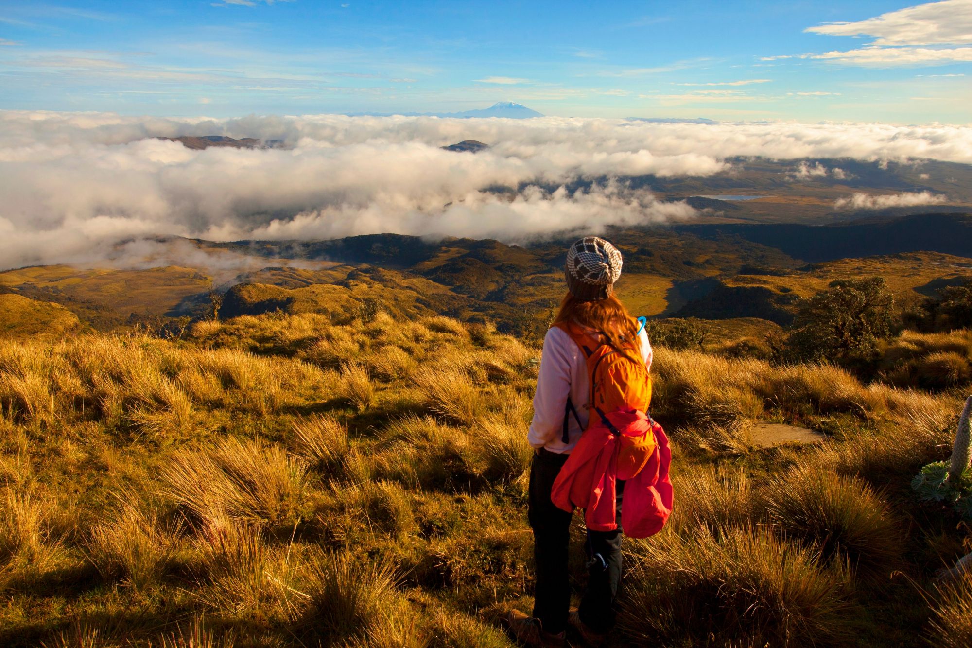 La Colombia conta 59 tra parchi naturali e aree protette ©Guillermo Ossa / Shutterstock