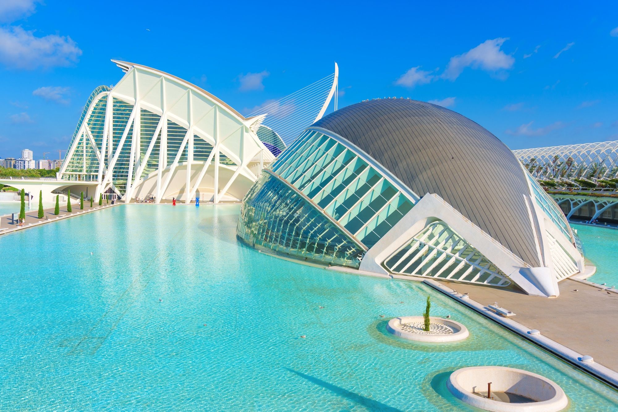 L’immensa opera di Calatrava a Valencia ©Chizhevskaya Ekaterina
/Shutterstock