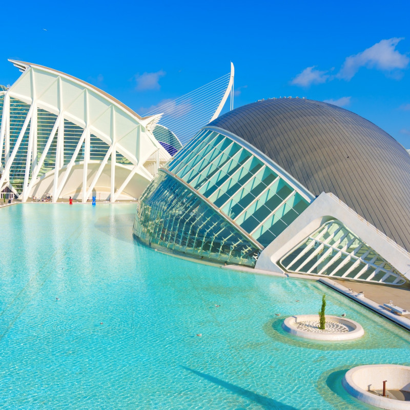 L’immensa opera di Calatrava a Valencia ©Chizhevskaya Ekaterina
/Shutterstock