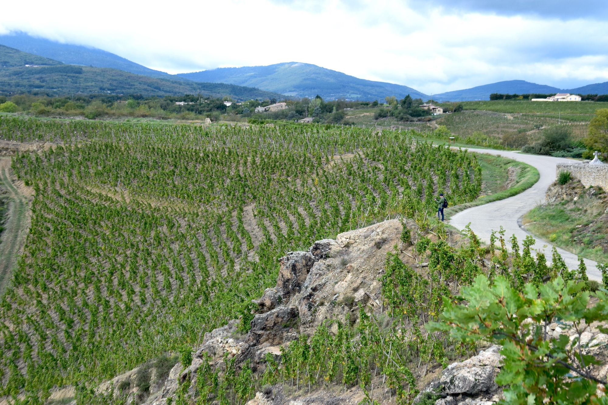 Parc Naturel du Pilat. Vigneti nei pressi di Malleval © Photo Dario Bragaglia