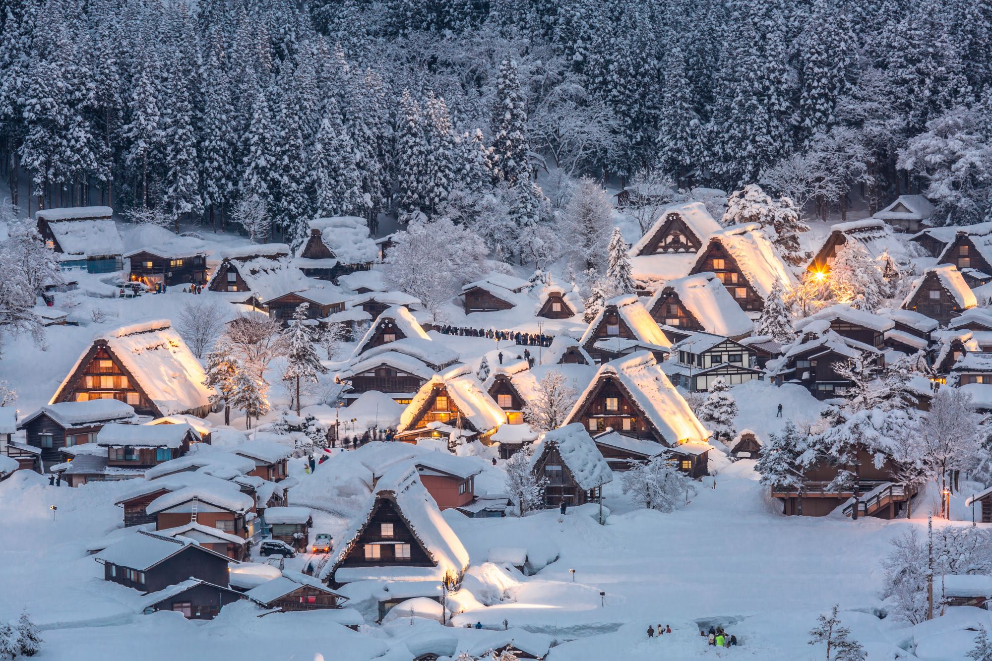 Le case di Shirakawa-gō, ammantate dalla neve. Credits vichie81 / Shutterstock