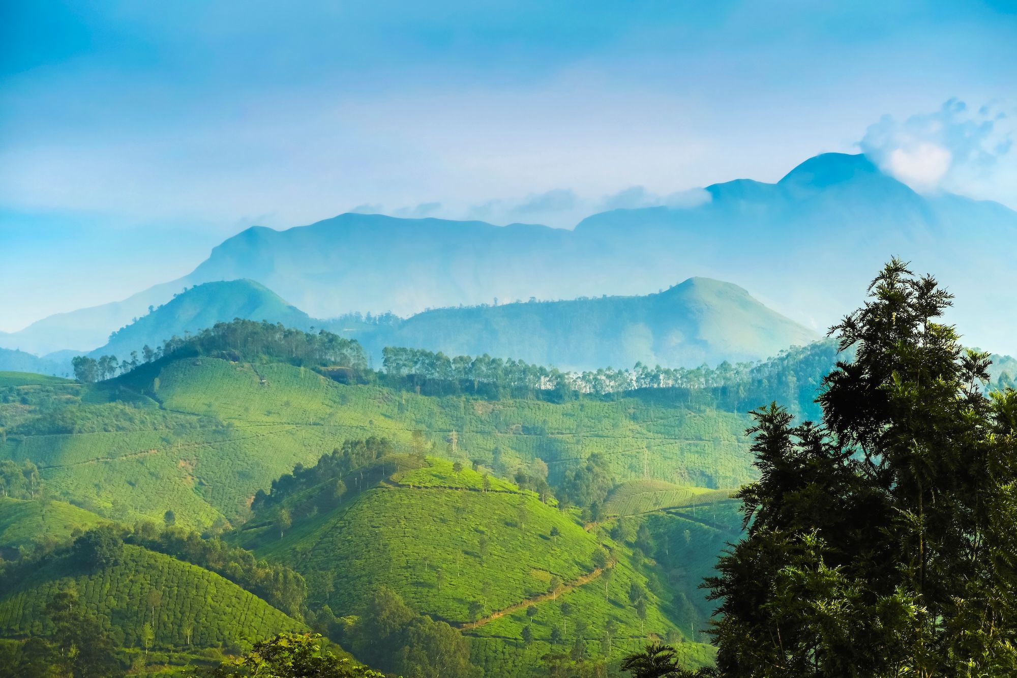Il panorama dei Ghat occidentali ©Robert Harding Video /Shutterstock