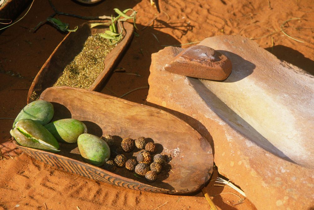Cibo del bush. Credits Janelle Lugge / Shutterstock