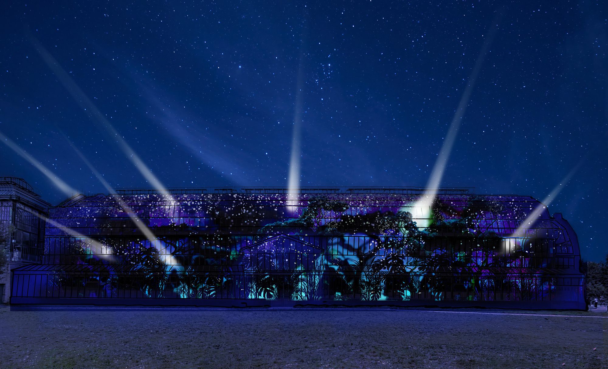 “En voie d’illumination: Lumières de la Nature” ©Cosmo AV