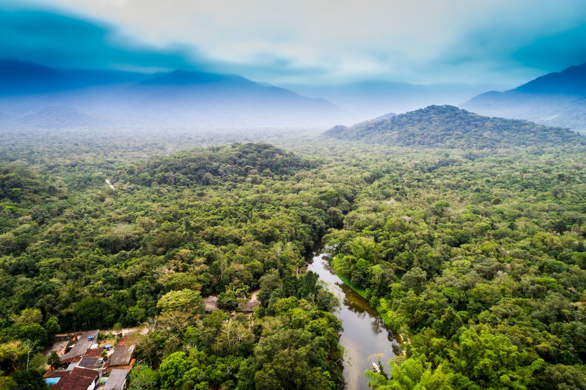 L’enorme distesa dell’Amazonia brasiliana ©Gustavo Frazao /Shutterstock