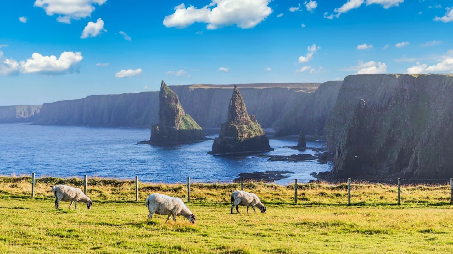 Le inconfondibili formazioni rocciose di Duncansby. © EyesTravelling / Shutterstock
