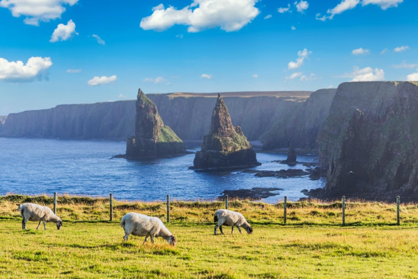 Le inconfondibili formazioni rocciose di Duncansby. © EyesTravelling / Shutterstock