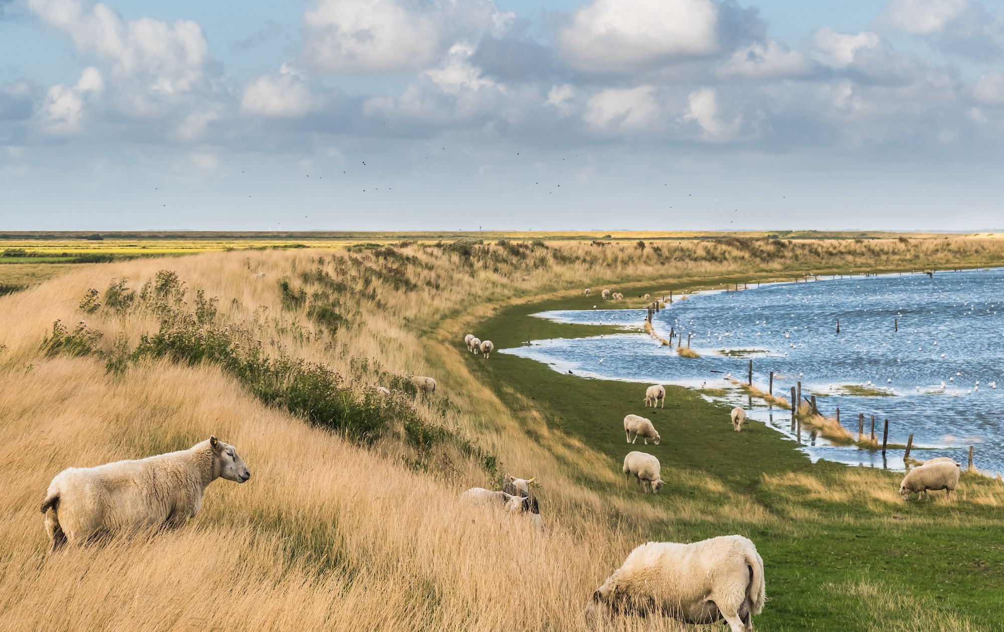 Il paesaggio sull’isola di Rømø © Daniela Baumann