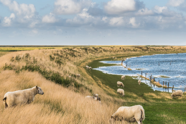Il paesaggio sull’isola di Rømø © Daniela Baumann