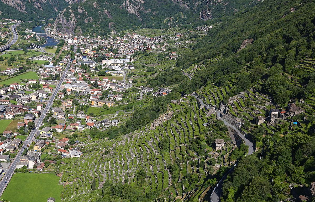 Vigneti a Pont-Saint-Martin. Credits Enrico Romanzi
