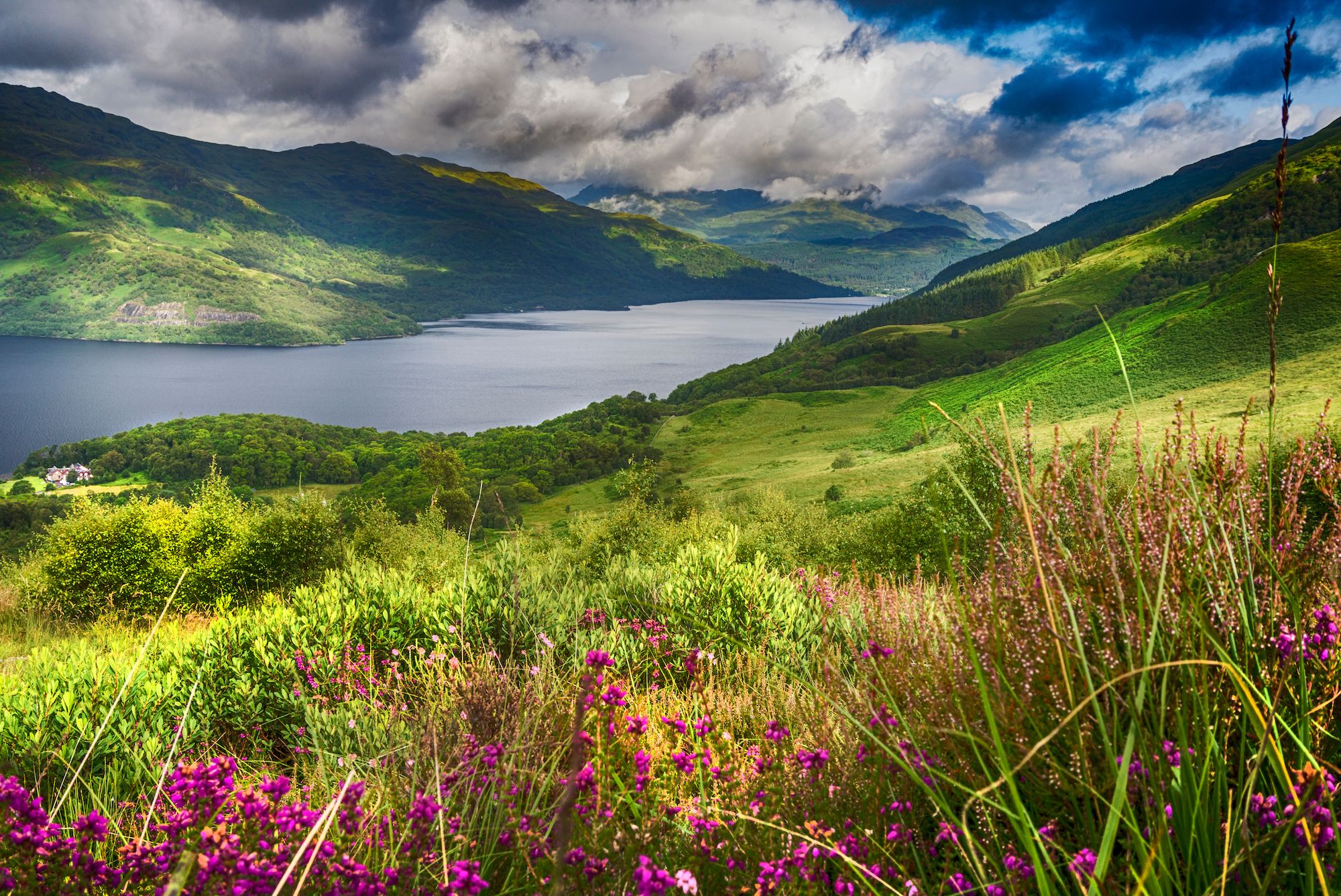 La vista da Loch Lomond, alle pendici inferiori di Ben Lomond ©Dougie Milne Photography