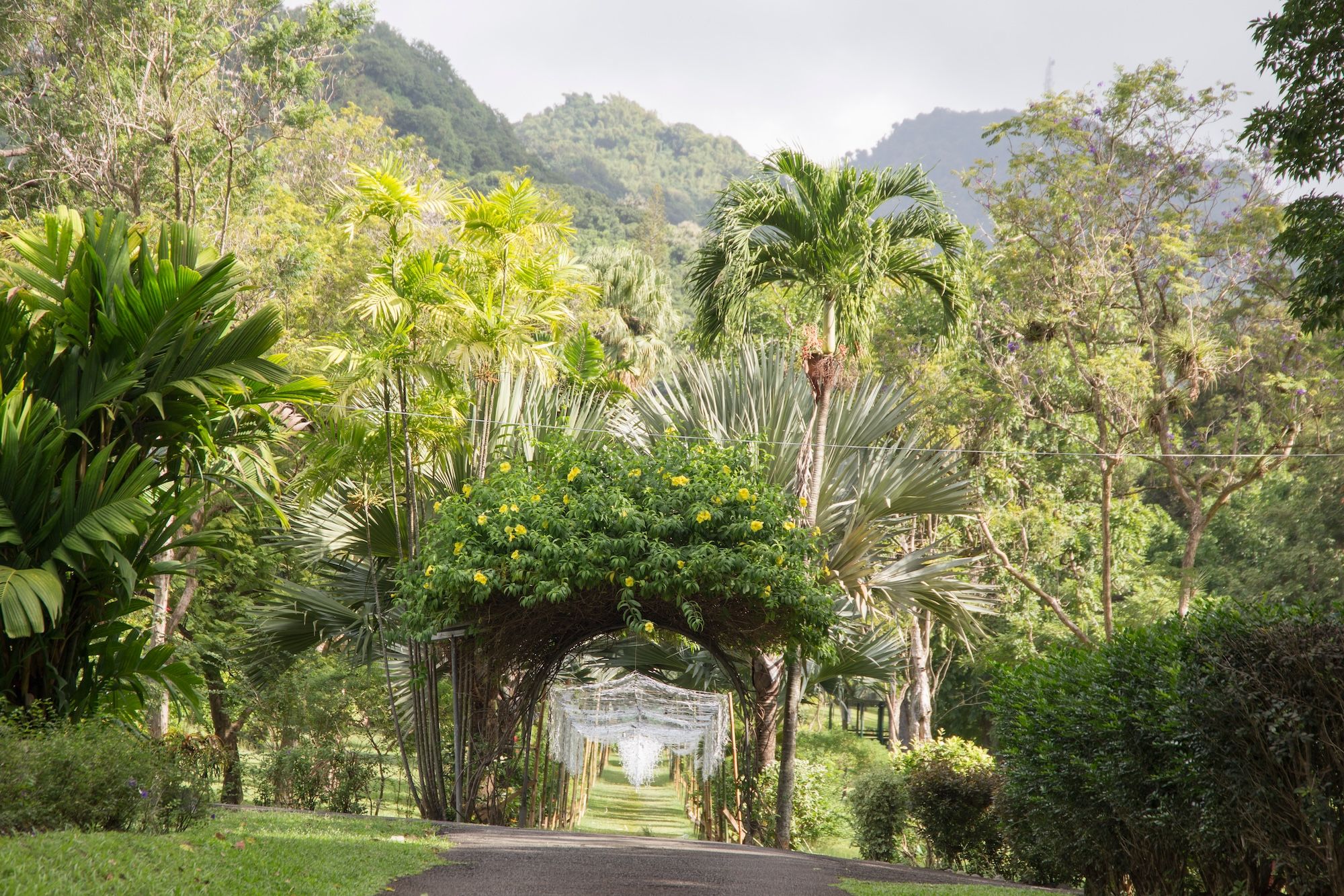 I giardini botanici più antichi dell’intero emisfero occidentale ©Ana del Castillo/Shutterstock