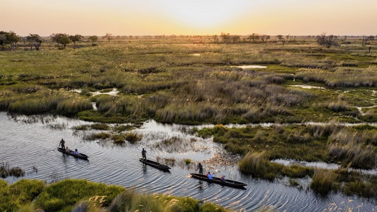 Un mokoro è un tipo di canoa comunemente usato nel Delta dell’Okavango, sul fiume Chobe in Botswana. Martin Harvey/Getty Images