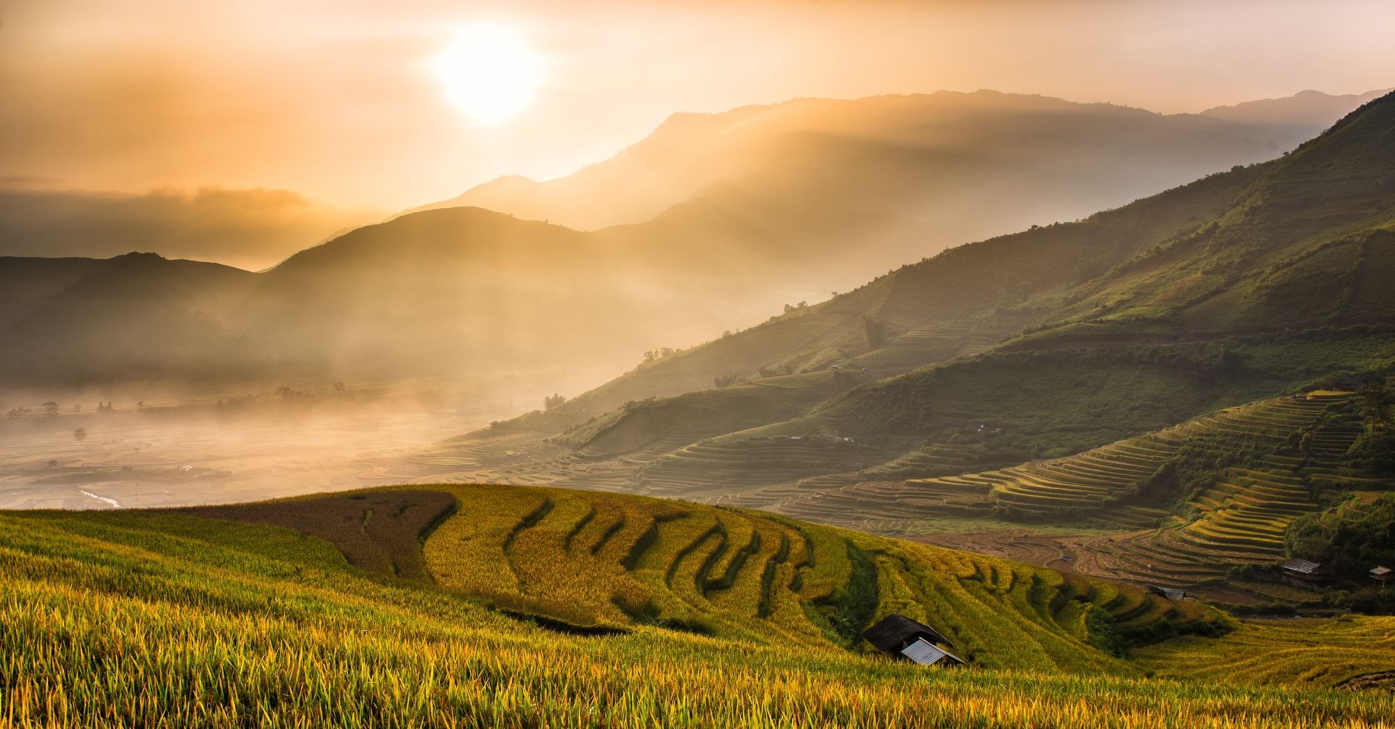 L'alba sulle terrazze di riso di Tule Mu Cang Chai, in Vietnam ©Wichuda Sailomka Pawin/500px
