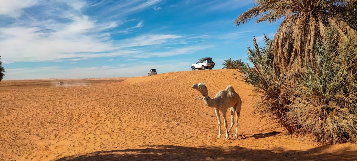 Veicoli in partenza da Timimoun verso il deserto. hocine haroun/Getty Images
