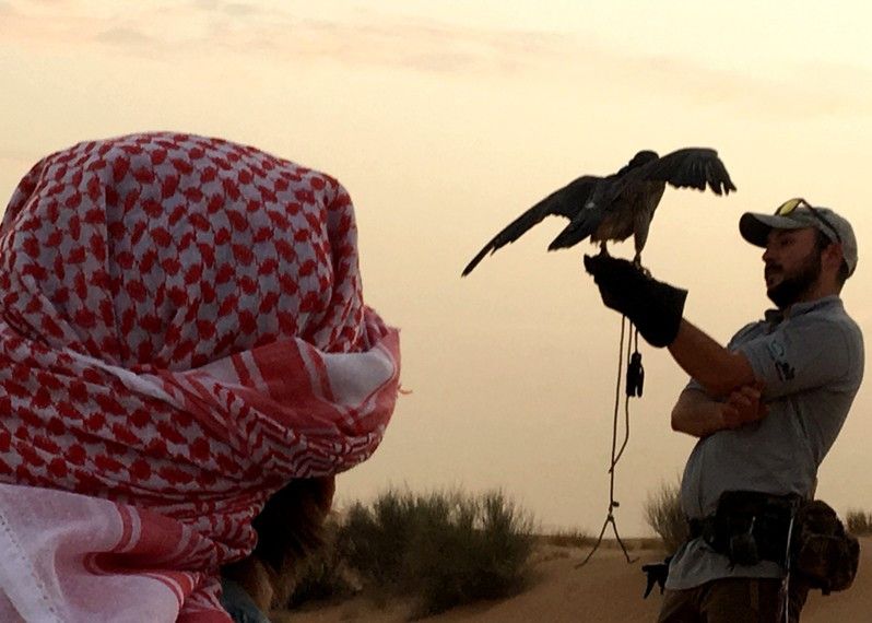 Ammirare lo show di un falconiere nel deserto è un'esperienza da non perdere, Dubai. ©Angelo Pittro/Lonely Planet Italia