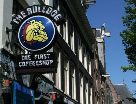Amsterdam, coffeeshop © Fotografia di Alessia Razzi