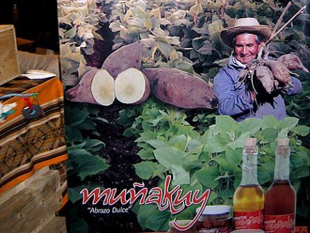 Argentina, presidio della Cooperativa Agrícola Portal del Patrimonio al Salone del Gusto 2010 © Lonely Planet Italia