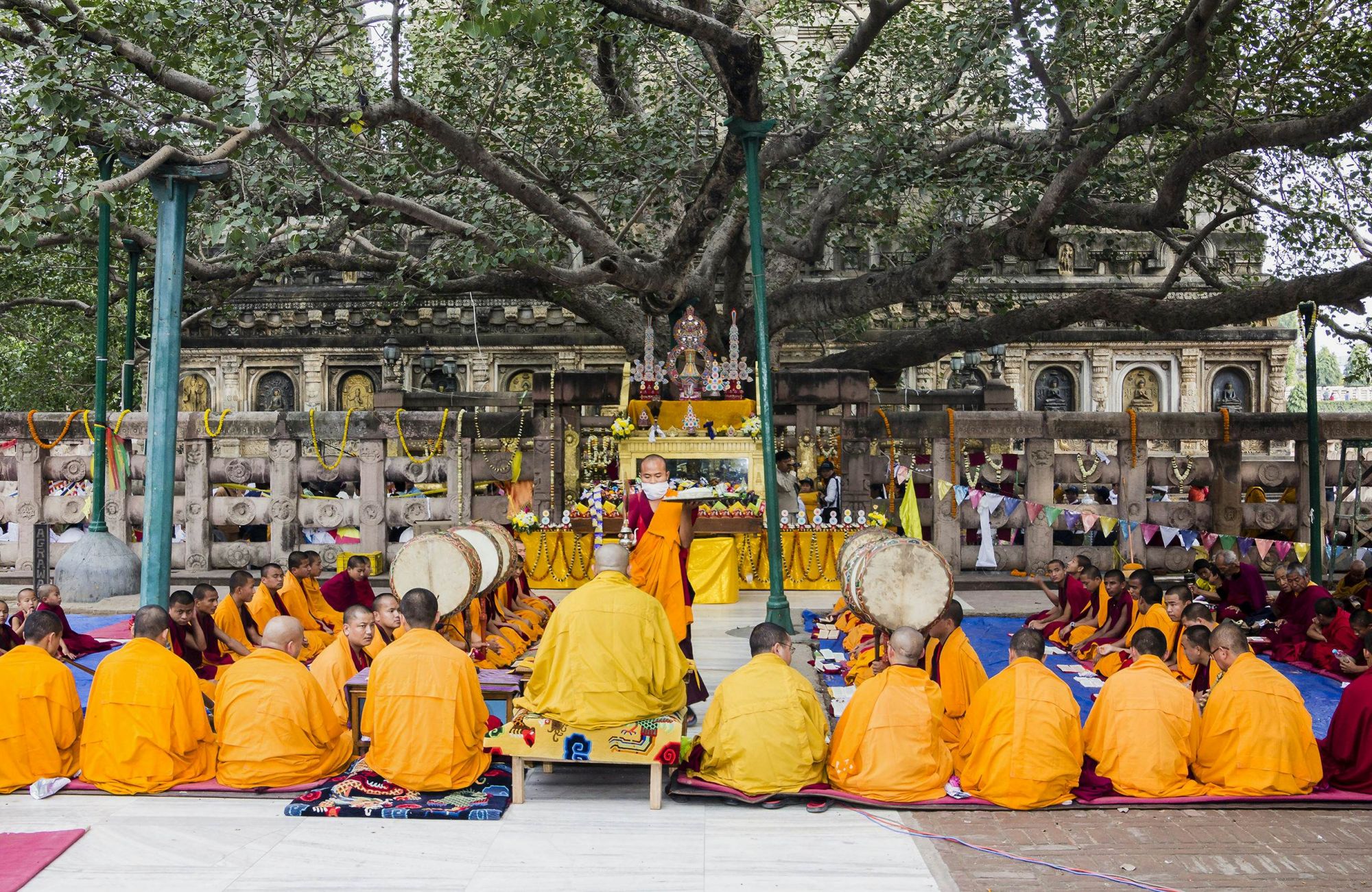 L’albero sacro di Bodhgaya. © anandoart/Shutterstock