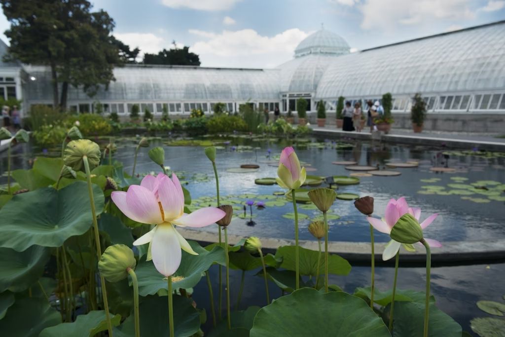 Il New York Botanical Garden, nel Bronx. © Boogich / Getty Images
