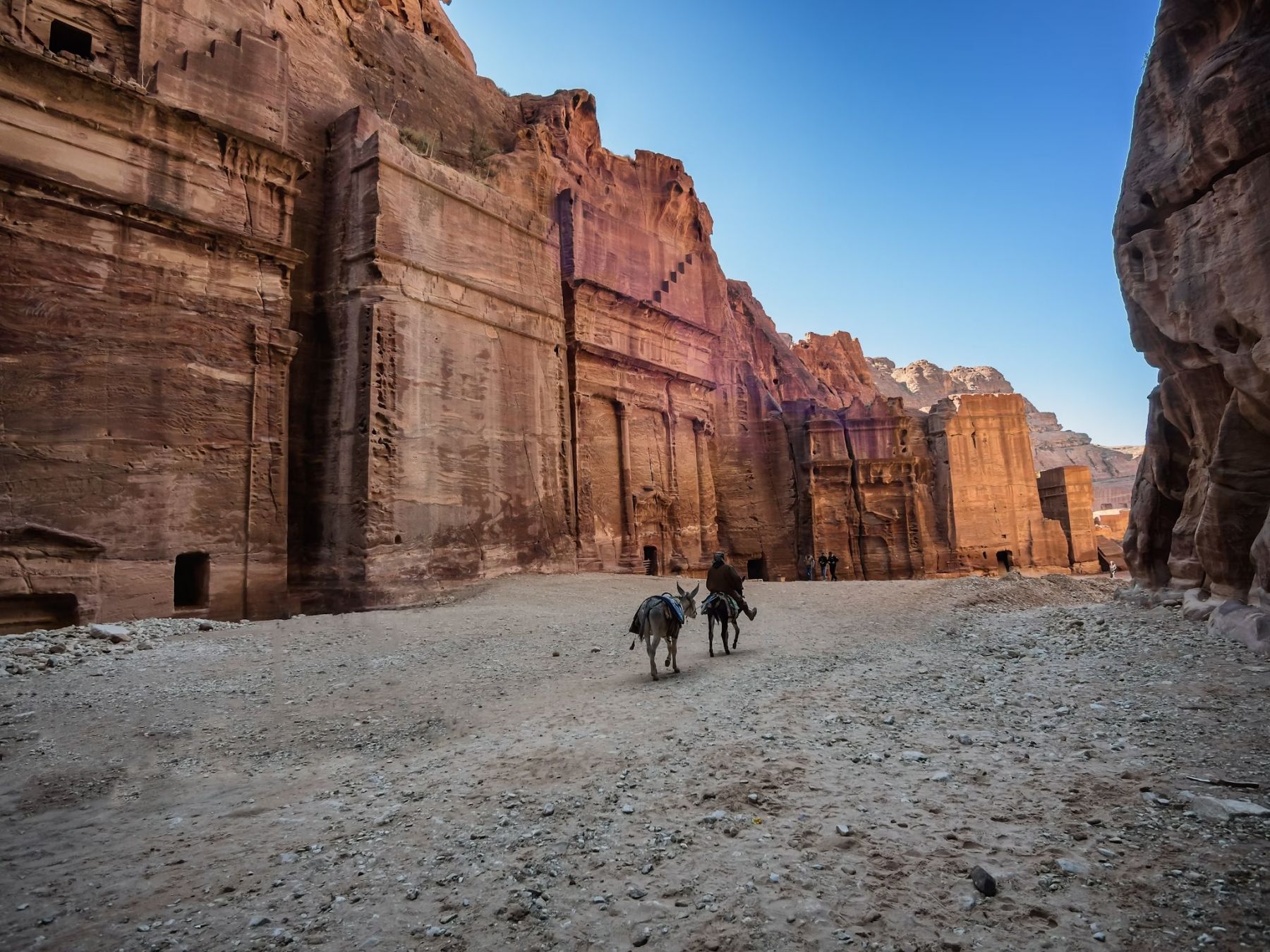 Il trattamento di cammelli, cavalli e asini a Petra ha suscitato più volte preoccupazioni per il benessere degli animali © Frank Bach / Shutterstock