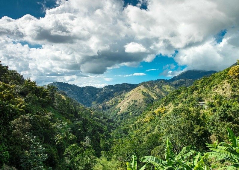 Blue Mountains, Giamaica. ©David Neil Madden/Getty Images