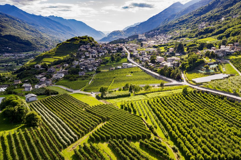 Filari in Valtellina. Credits AerialVision_it / Shutterstock