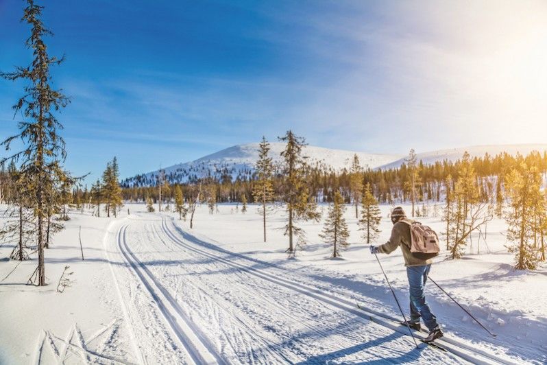 © canadastock / Shutterstock