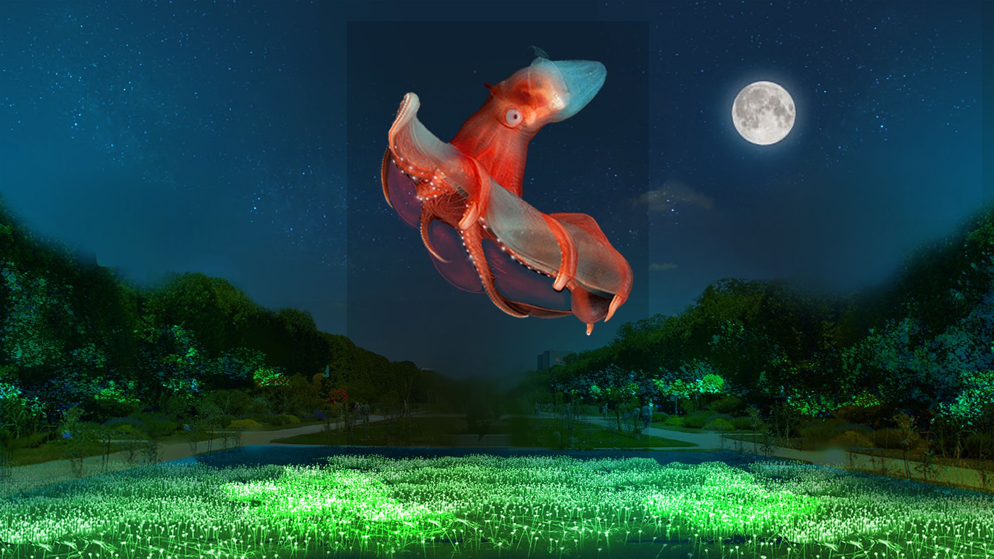 “En voie d’illumination: Lumières de la Nature” ©Cosmo AV