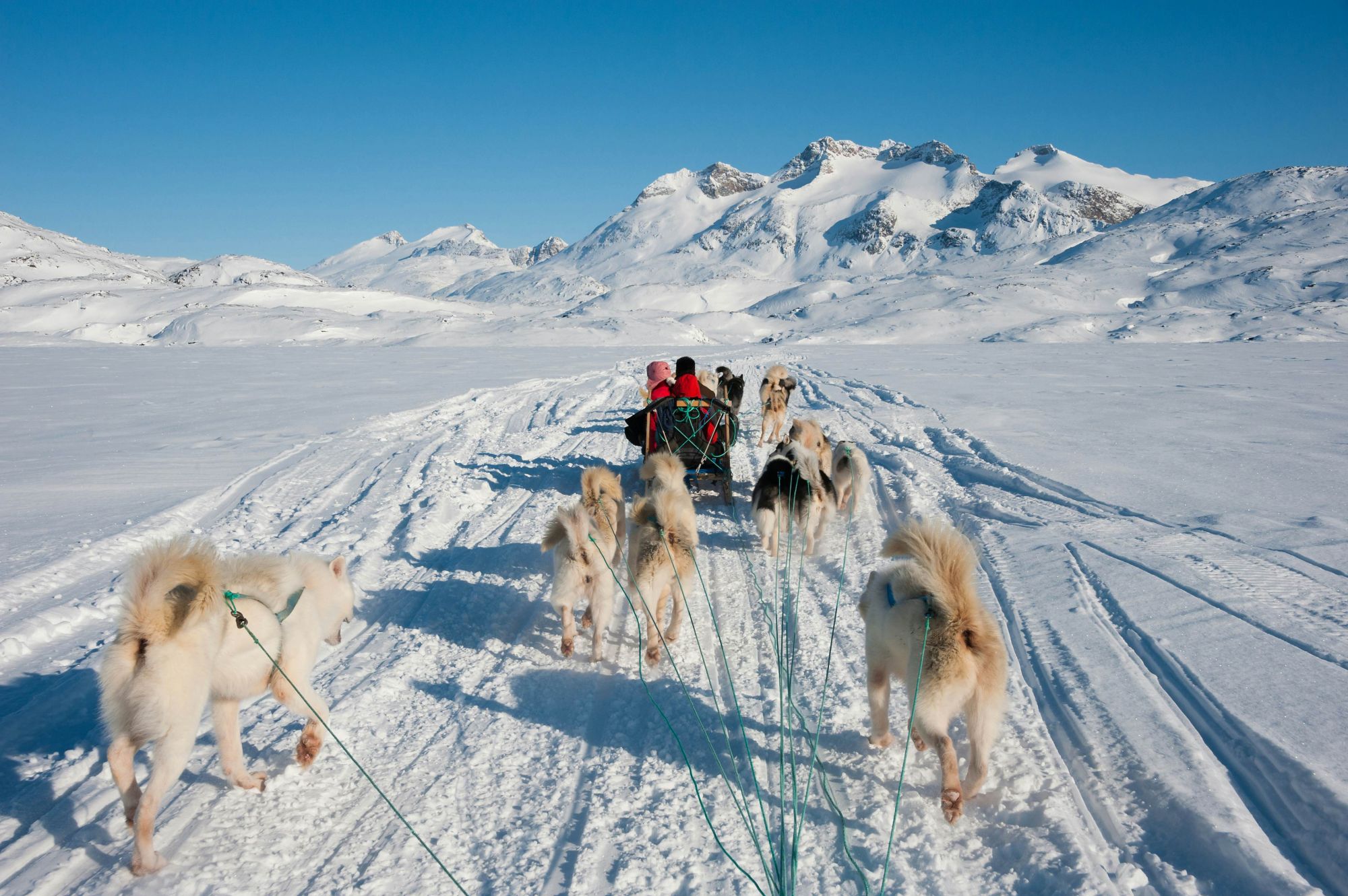 I cani da slitta sono indissolubilmente legati al popolo inuit. © Yongyut Kumsri/Shutterstock