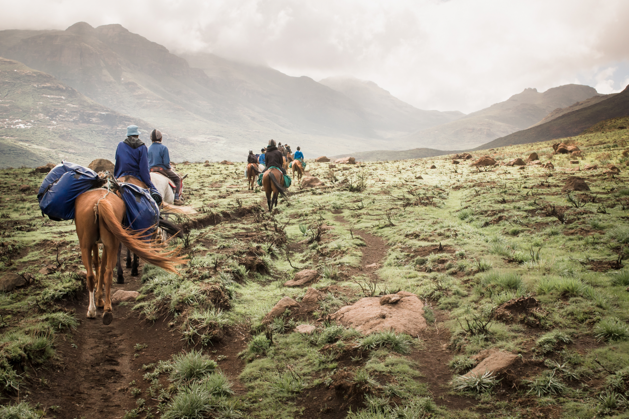 Lesotho natura e cavalli