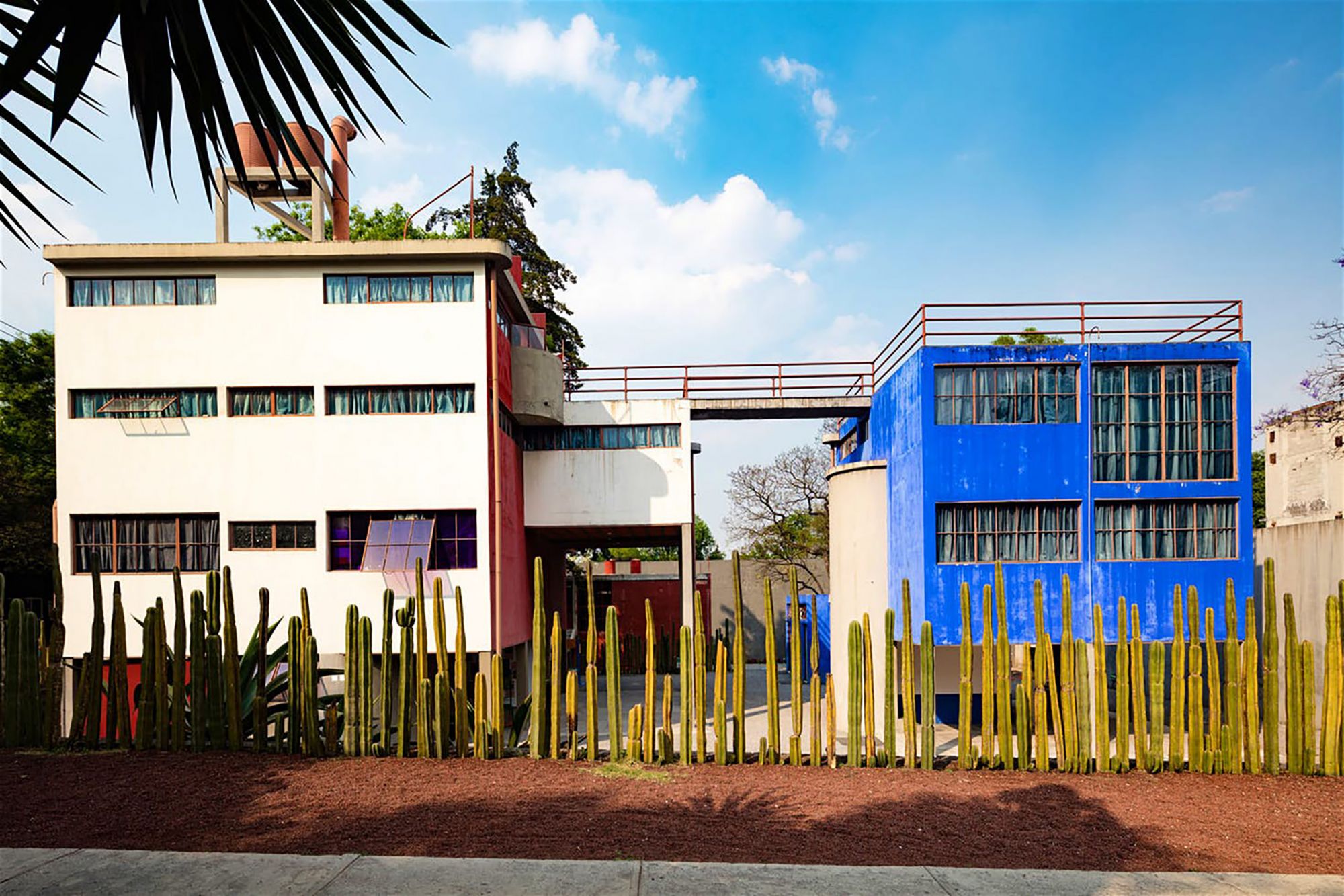 Frida e Rivera andarono a vivere in questa casa a San Ángel, disegnata dal loro amico architetto Juan O’Gorman. Rivera viveva e lavorava nell’edificio