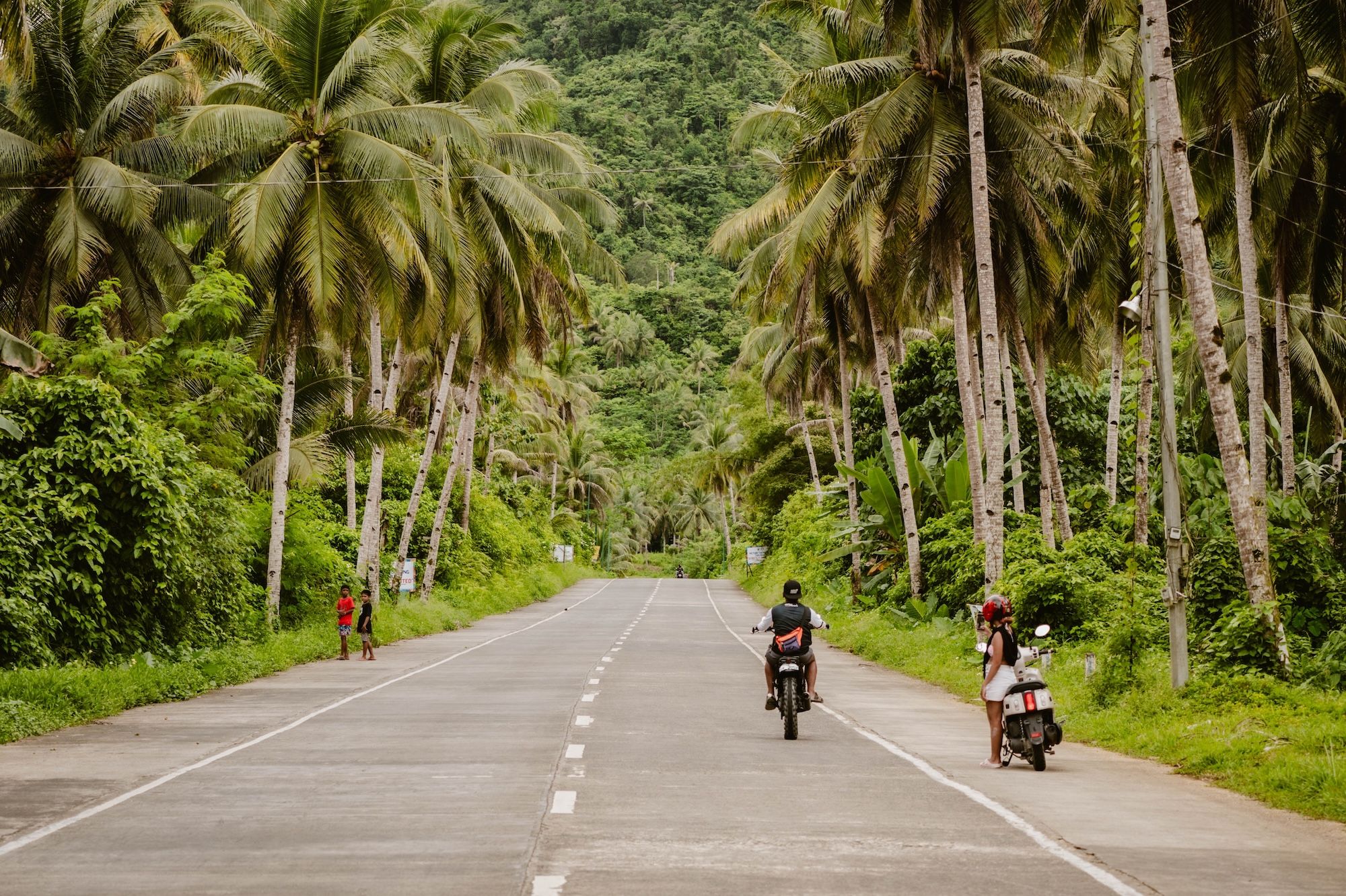 Coconut tree road a Siargao © Sanne Dost /Shutterstock