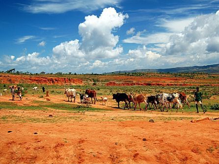 Colori dell'Etiopia © Simone Tognetti