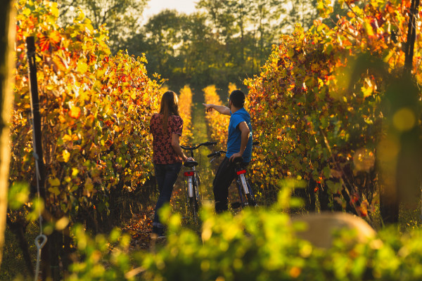 La Franciacorta e il Lago d’Iseo tra enogastronomia, sport e occasioni di relax