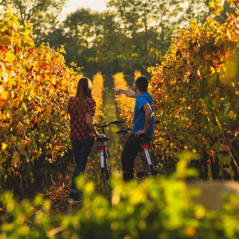 Franciacorta, perfetta per l’enoturismo. Credits Visit Brescia / ph M Rossetti