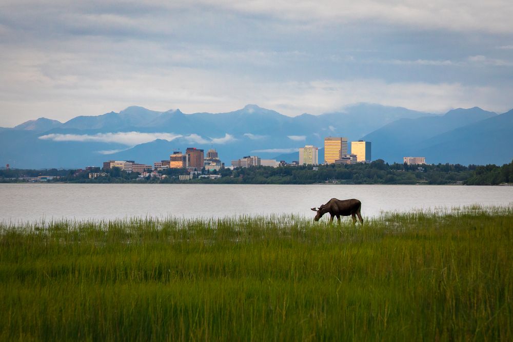 Vita ad Anchorage. Credits BILD LLC / Shutterstock