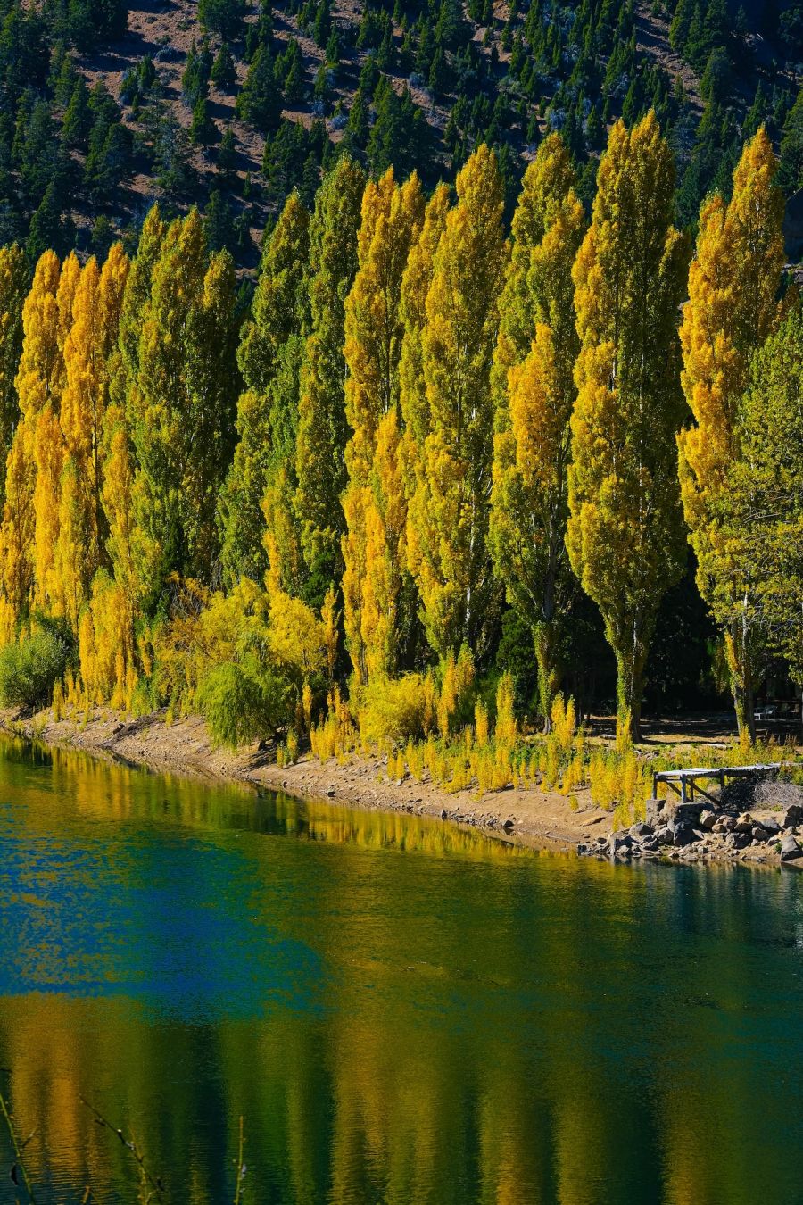 La natura sarà ovunque intorno a voi ©Nehuenpg/Shutterstock