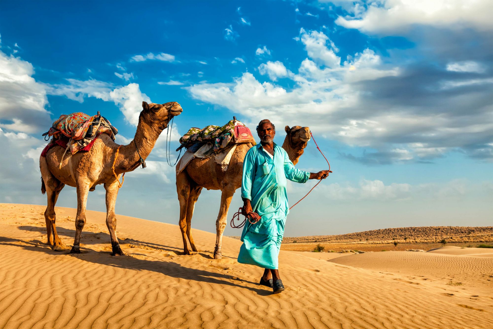 Un’uscita a dorso di cammello è un gran bel modo per scoprire il deserto intorno a Jaisalmer. © Dmitry Rukhlenko/Shutterstock