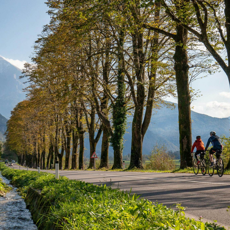 La Alpina Mediterranean Cycle Route tocca il Friuli Venezia Giulia, la Slovenia e la Croazia. © Matevž Hribar